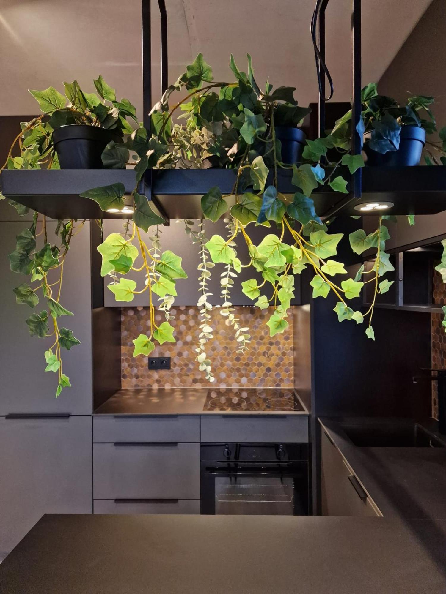Apartament Kato Time - Debowe Tarasy- Gryfny